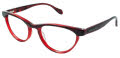 Ted Baker B713 Red (RED) Eyeglasses - Color Image
