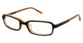 Ted Baker B924 Brown (BRN) Eyeglasses - Color Image