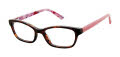 Ted Baker B962 Tortoise (TOR) Eyeglasses - Color Image