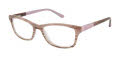 Ted Baker B952 Brown (BRN) Eyeglasses - Color Image