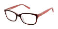 Ted Baker B953 Havana / Blush (HAV) Eyeglasses - Color Image