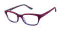 Ted Baker B954 Purple (PUR) Eyeglasses - Color Image