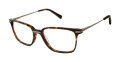 Ted Baker TB801 Tortoise (TOR) Eyeglasses - Color Image