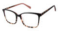 Ted Baker TFW015 Black (BLK) Eyeglasses - Color Image
