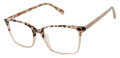 Ted Baker TFW015 Ivory Blush - IVO Eyeglasses - Color Image