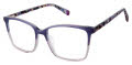Ted Baker TFW015 Lilac (LIL) Eyeglasses - Color Image