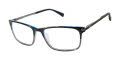 Ted Baker TFM005 Black Grey (BLK) Eyeglasses - Color Image