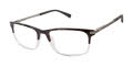 Ted Baker TFM005 Tortoise Crystal (TOR) Eyeglasses - Color Image