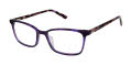 Ted Baker TPW004 Purple (PUR) Eyeglasses - Color Image