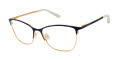 Ted Baker TW503 Navy Gold (NAV) Eyeglasses - Color Image