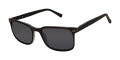 Ted Baker TBM081 Black (BLK) Sunglasses - Color Image