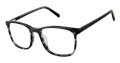 Ted Baker TFM011 Grey Eyeglasses - Color Image