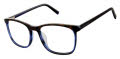 Ted Baker TFM011 Tortoise Navy (TOR) Eyeglasses - Color Image