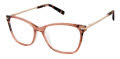 Ted Baker TFW014 Blush - BLS Eyeglasses - Color Image
