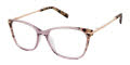 Ted Baker TFW014 Grey - GRY Eyeglasses - Color Image