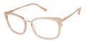 Ted Baker TW017 Blush - BLS Eyeglasses - Color Image