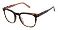Ted Baker TW018 Black Blush - BLK Eyeglasses - Color Image