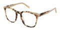 Ted Baker TW018 Ivory Tortoise - IVO Eyeglasses - Color Image
