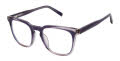 Ted Baker TW018 Lilac - LIL Eyeglasses - Color Image