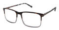 Ted Baker TXL008 Tortoise Grey - TOR Eyeglasses - Color Image