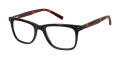 Ted Baker TM001 Black (BLK) Eyeglasses - Color Image