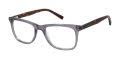 Ted Baker TM001 Grey (GRY) Eyeglasses - Color Image