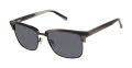 Ted Baker TBM080 Grey Horn (GRY) Sunglasses - Color Image