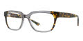 Ted Baker TB802 Grey Tokyo Tortoise (GRY) Eyeglasses - Color Image