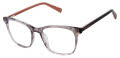 Ted Baker TFW016 Grey (GRY) Eyeglasses - Color Image