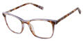 Ted Baker TFW016 Lilac (LIL) Eyeglasses - Color Image
