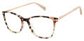 Ted Baker TFW017 Grey (GRY) Eyeglasses - Color Image