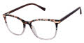 Ted Baker TFW018 Grey (GRY) Eyeglasses - Color Image