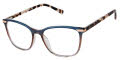 Ted Baker TFW018 Slate Blue (SLA) Eyeglasses - Color Image