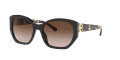 Tory Burch TY7141 Black / Dark Brown Gradient Lens (179513) Sunglasses - Color Image