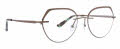 Totally Rimless Visha (366) Brown  Eyeglasses - Color Image