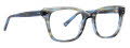 Trina Turk Peta Black/Blue Eyeglasses - Color Image