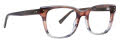 Trina Turk Peta Espresso Eyeglasses - Color Image