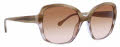 Trina Turk Fitzroy Brown Sunglasses - Color Image