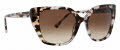 Trina Turk Kamari Dark Brown Sunglasses - Color Image