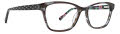 Vera Bradley Amberly Vines Floral Eyeglasses - Color Image