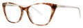 Vera Wang V589 Gold Tortoise Eyeglasses - Color Image