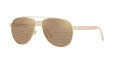Versace VE2209 Pale Gold / Brown Tamp Versace Silver Gold (1252V3) Sunglasses - Color Image