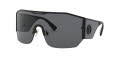 Versace VE2220 Black / Grey Lens (100987) Sunglasses - Color Image
