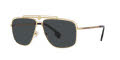 Versace VE2242 Gold / Dark Grey Lens (100287) Sunglasses - Color Image