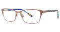 Via Spiga Tazia Brown (560) Eyeglasses - Color Image