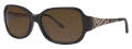 Via Spiga 344-S Brown (560) Sunglasses - Color Image