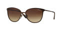 Vogue VO4002S Matte Brown Burnt / Brown Gradient Lens (934S13) Sunglasses - Color Image