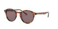 Vogue VO5327S Havana Honey / Purple Brown Lens (28197N) Sunglasses - Color Image