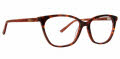 XOXO Joliet Tortoise Eyeglasses - Color Image