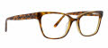 XOXO Olivet Tortoise Eyeglasses - Color Image